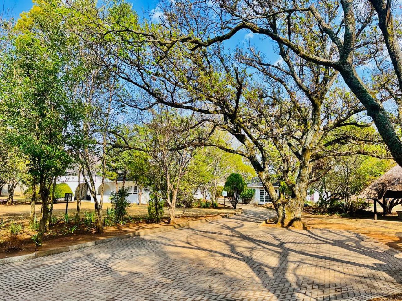 نيوكاسل Oak Gardens Bed And Breakfast المظهر الخارجي الصورة