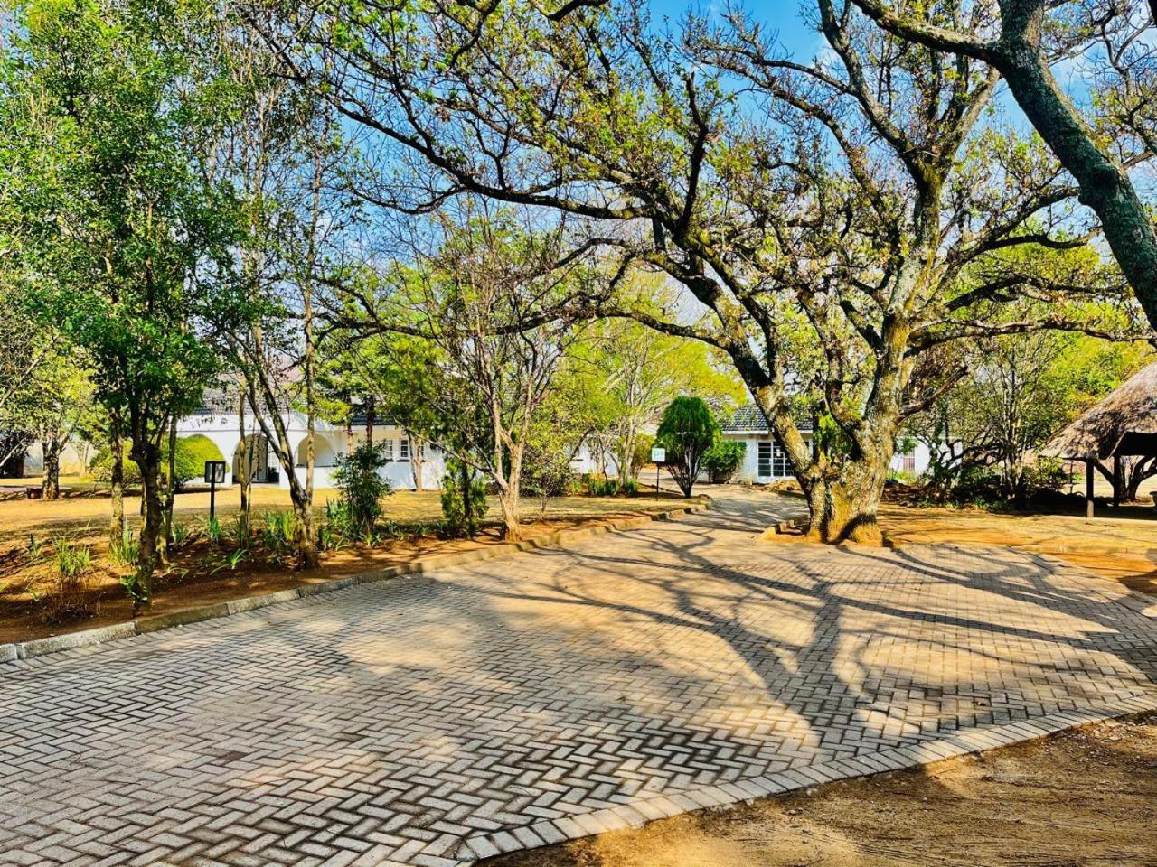 نيوكاسل Oak Gardens Bed And Breakfast المظهر الخارجي الصورة